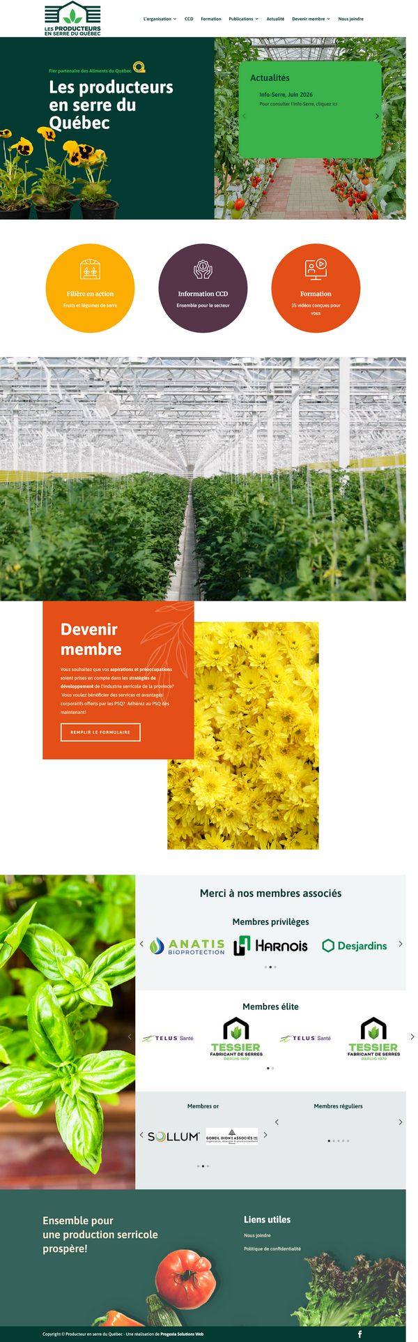 Site web des Producteurs en serre du Québec - Accueil - Réalisation de Progexia